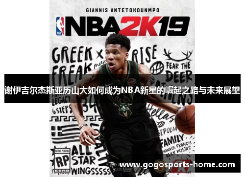 谢伊吉尔杰斯亚历山大如何成为NBA新星的崛起之路与未来展望